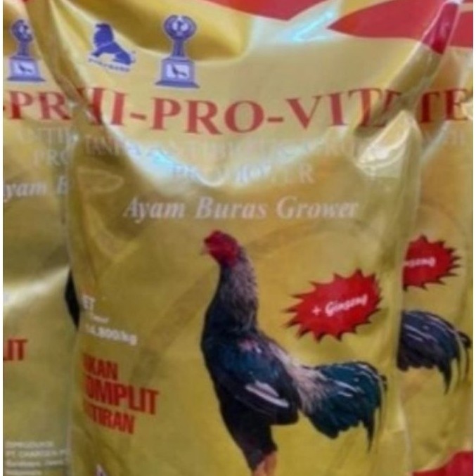 595K pur pakan ayam bangkok siapan laga