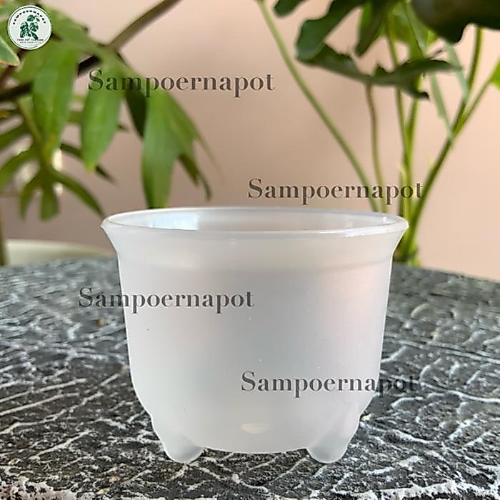 SALE pot bunga tanaman mini nkt panda 06 bening transparan 6cm - nkt mini