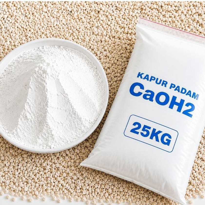 KAPUR PADAM CAOH2 25kg KALSIUM HIDROKSIDA CALCIUM HYDRATED LIME