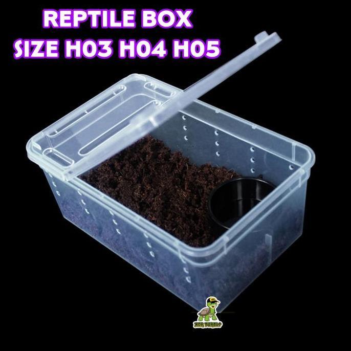 KANDANG REPTIL LEOPARD GECKO BALLPYTHON CROCODILE SKINK BERBAGAI UKURA