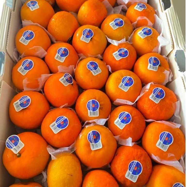 JERUK WOGAM MANDARIN 1 DUS 9KG MANIS JUICY LUMER