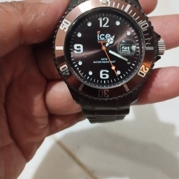ICE WATCH