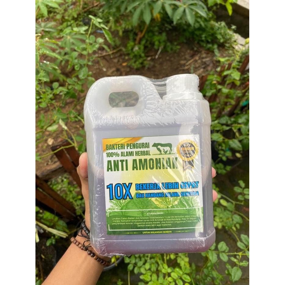 Bakteri Pengurai ANTI AMONIAK 10X Menghilangkan Bau Kandang Virus Lalat untuk Kandang Sapi Ayam Buru