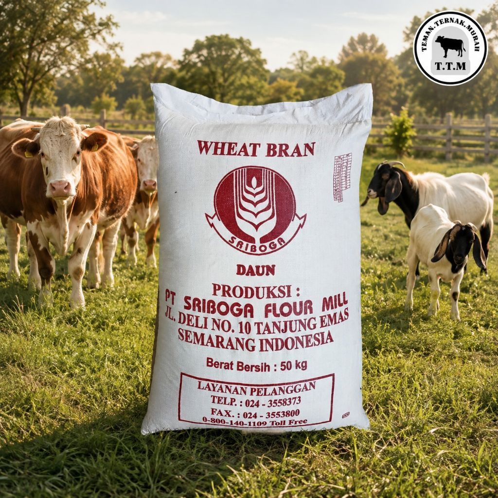 PROMO WHEAT BRAN 50 Kg - Bran pakan sapi - bran.pakan kambing - bran penggemukan