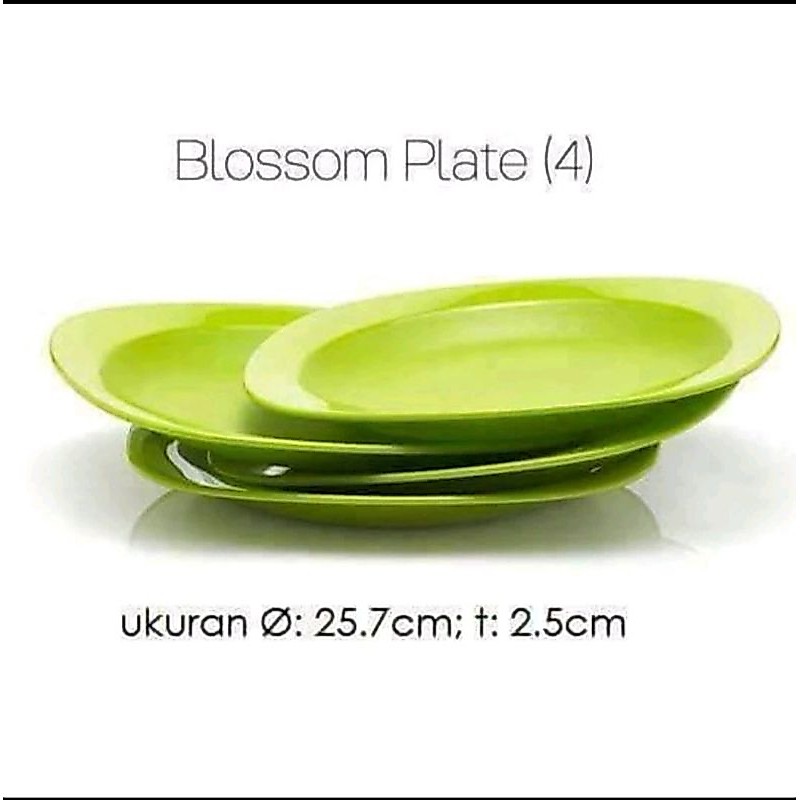Blossom plate / Legacy large deep plate / OH plate Tupperware Piring makan dewasa Piring saji  1pc