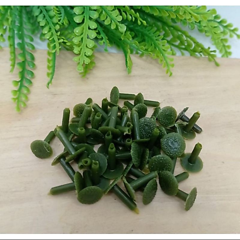 100 pcs Paku Bunga Papan Suyok Penutup Putik Bunga Tangkai Kelopak Paku suyok Payung