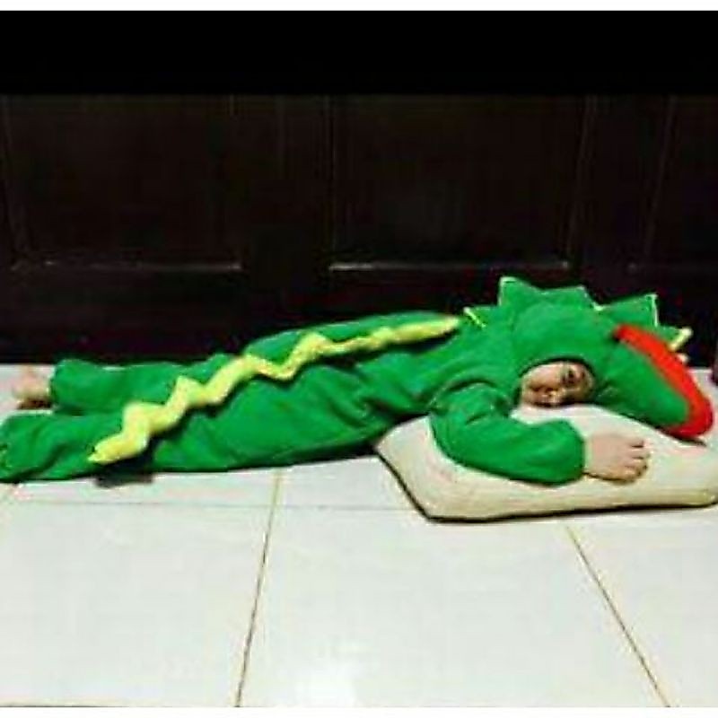 Kostum buaya/kostum anak/kostum binatang/kostum hewan/kostum buaya anak/Nadine kostum/kostum karakte