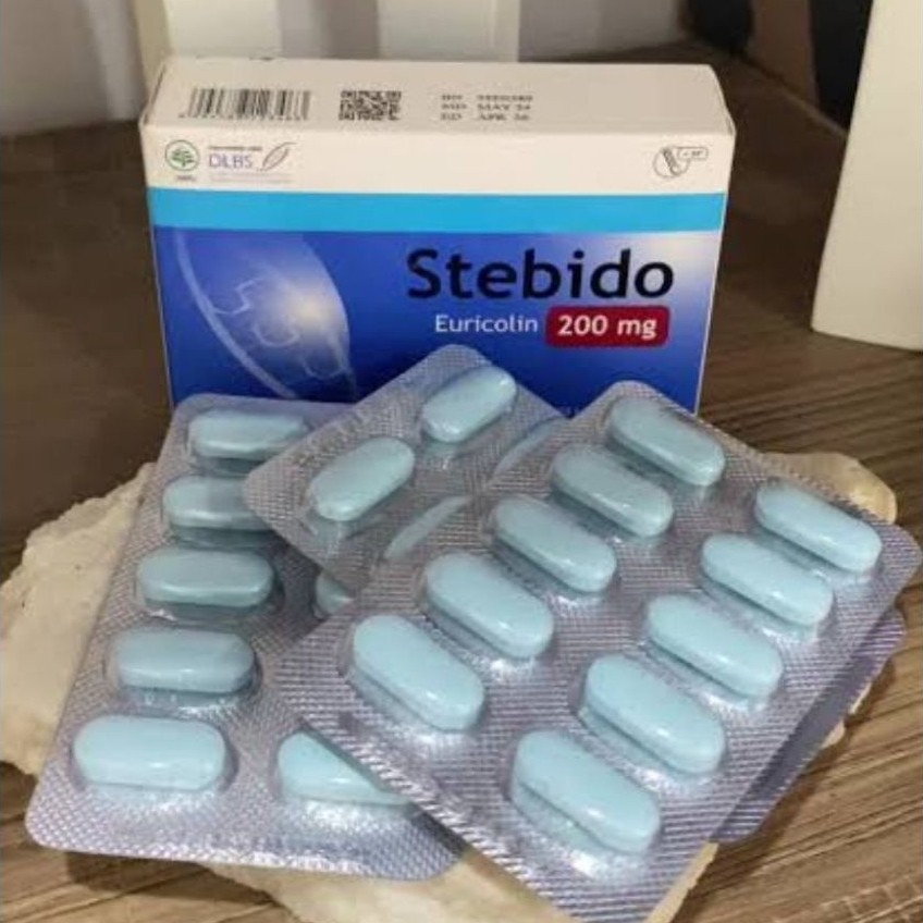 stEbiDo