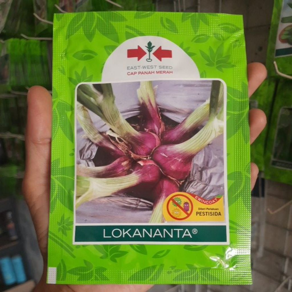 Benih Biji Bibit Bawang Merah Unggul LOKANANTA 10 gram (3000biji)