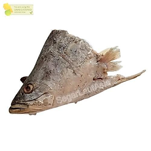 Ready BB Kepala Kakap Segar / Kepala Kakap Putih / Kepala Kakap 1Kg / Kepala Kakap Putih Baramundi /