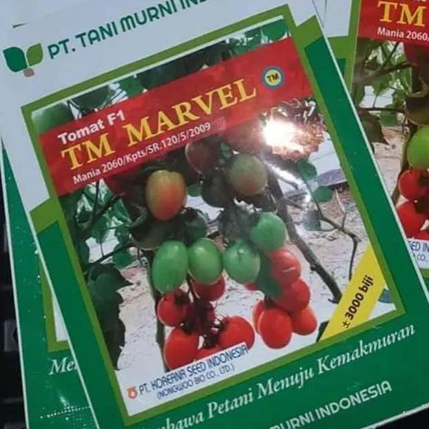 BEBAS ONGKIR - benih tomat TM Marvel F1 10 gr bibit tomat hibrida tani murni