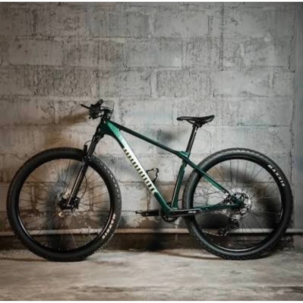 SEPEDA MTB DOMINATE CXC COMP R CARBON
