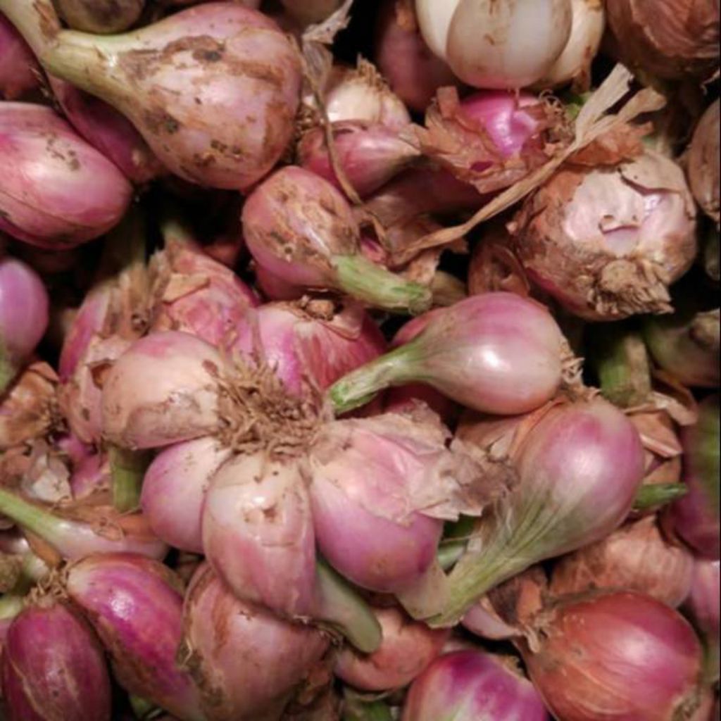 Bawang Merah Sumenep Mentah 1kg - Aroma Harum, Renyah, Manis