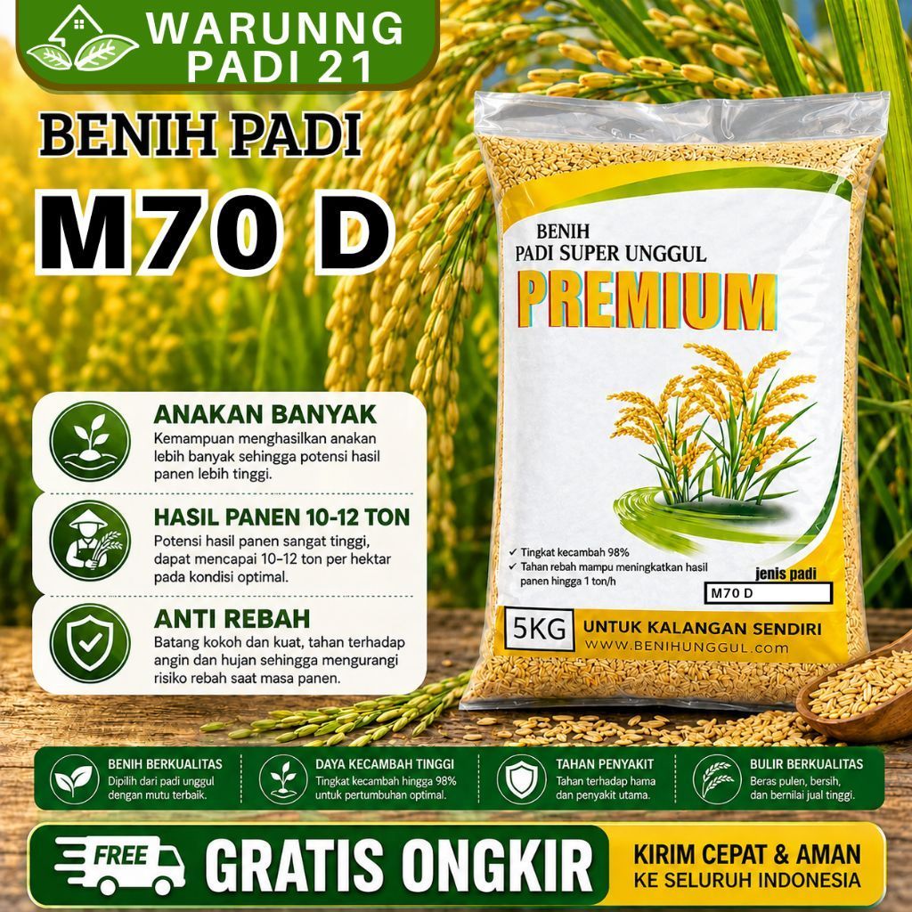 BENIH PADI UNGGUL M70D KEMASAN 5 KG BENIH PADI KUALITAS ORIGINAL