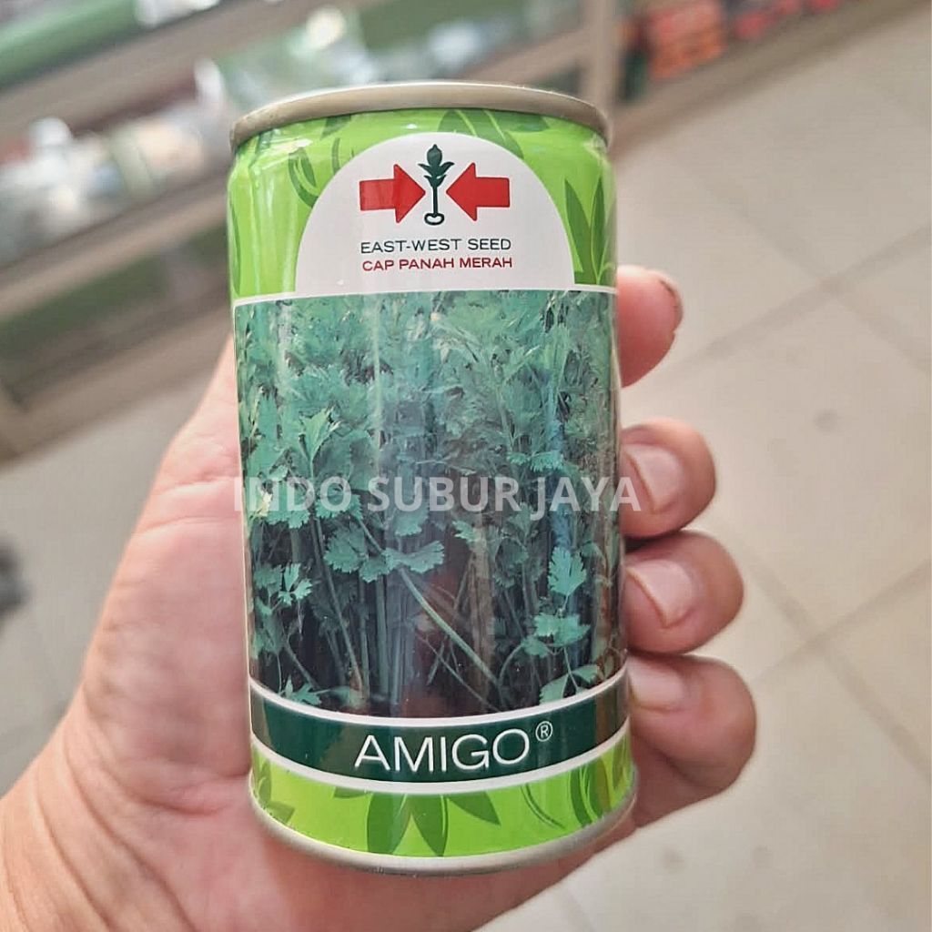 [1 KALENG] Amigo 50 Gram–Benih Daun Seledri Sop Cap Panah Merah