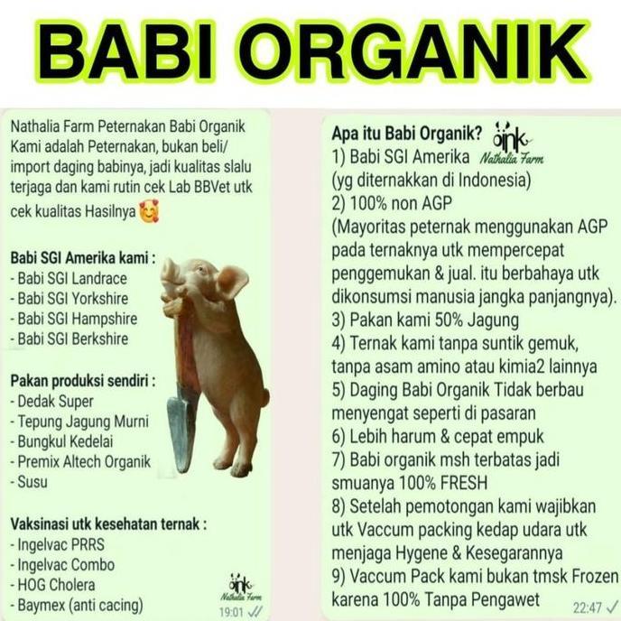 Paru Babi - Jeroan Babi - Daging Babi Organik