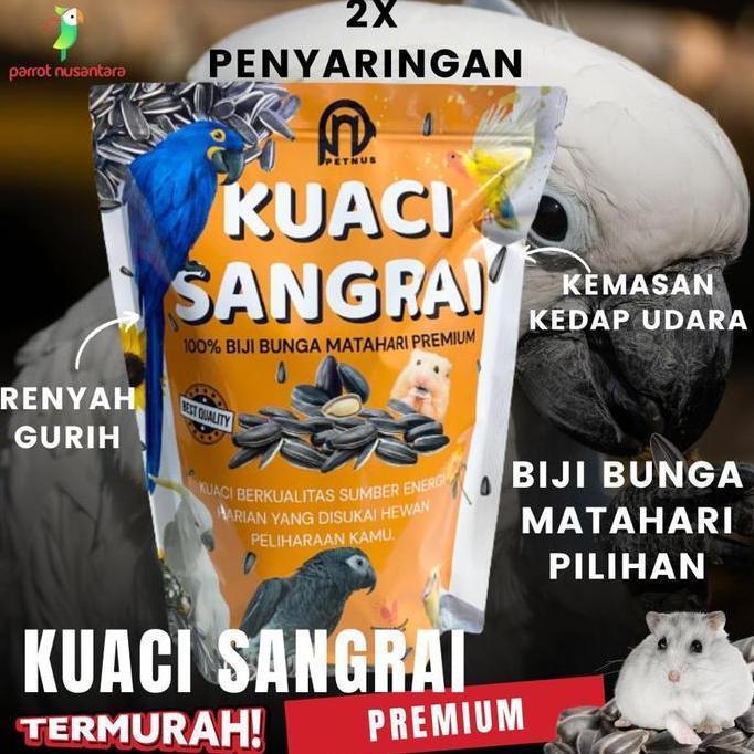 KUACI KWACI SANGRAI BURUNG PARROT MURAH GROSIR