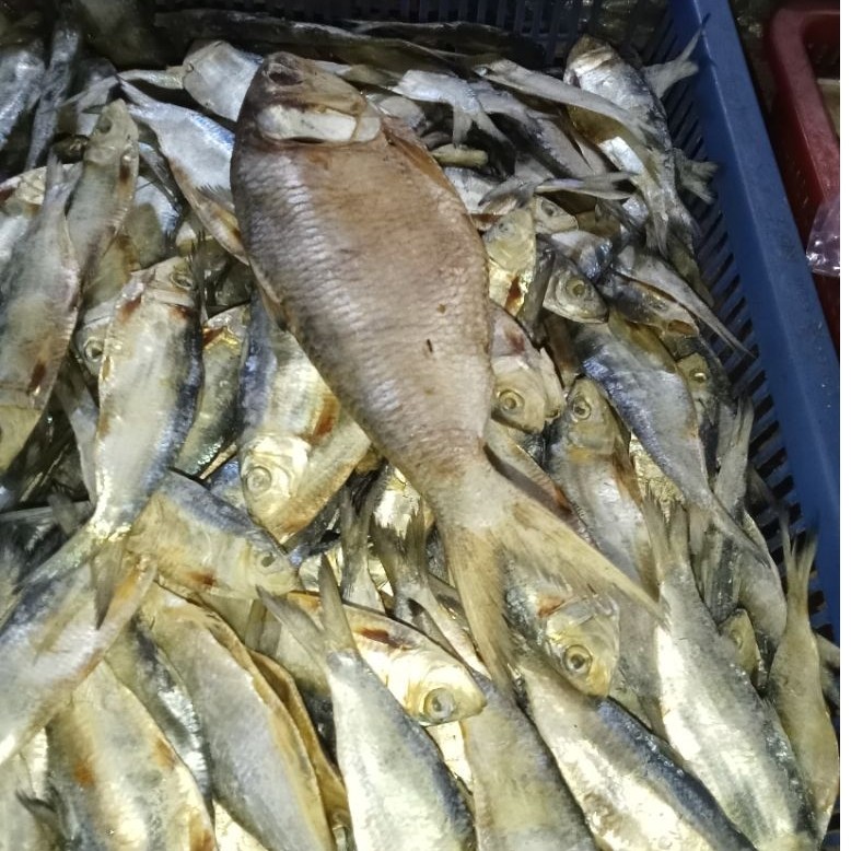 ikan belo 500 gram