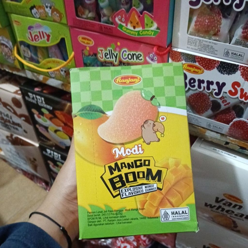 RANJANI MODI MANGO BOOM