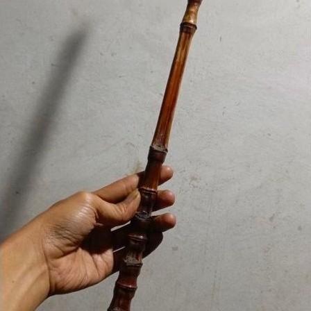 Bambu cendani gagang joran pancing