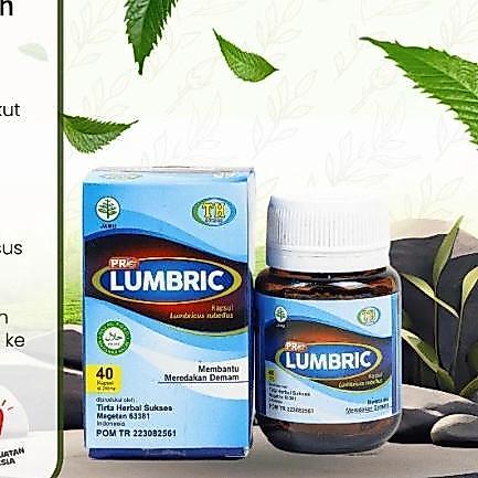 ADMR San X Bioth L Pro Lumbric Probiotik Herbal Alami 40 Kapsul Membantu Mengatasi Masalah Lambung M