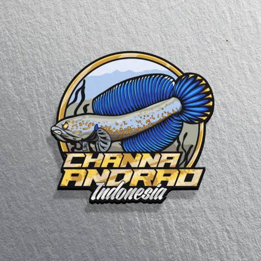 chana andrao 4cm -+