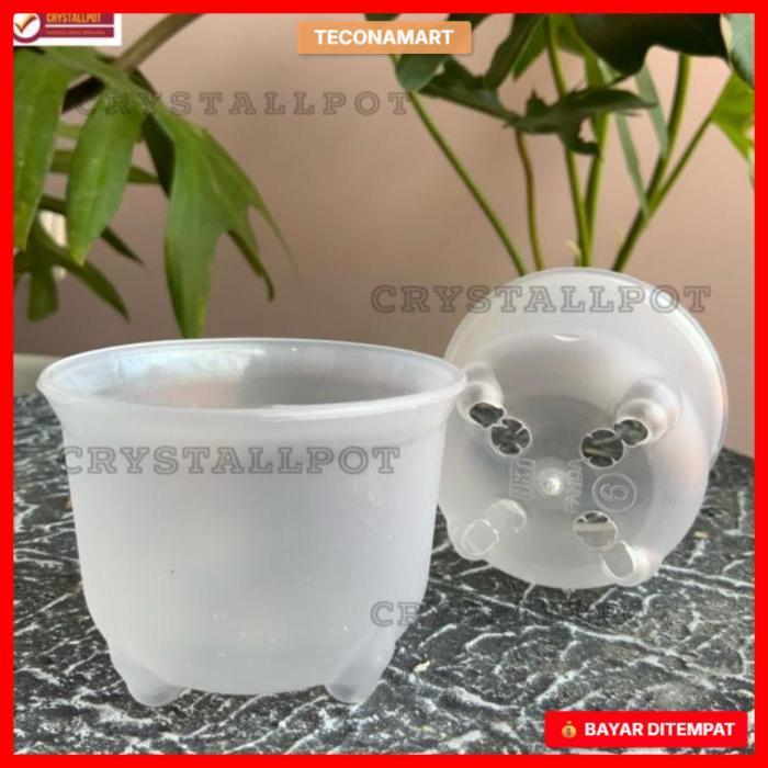 POT BUNGA TANAMAN NKT MINI PANDA 06 BENING TRANSPARAN - NKT PANDA 06 BENING