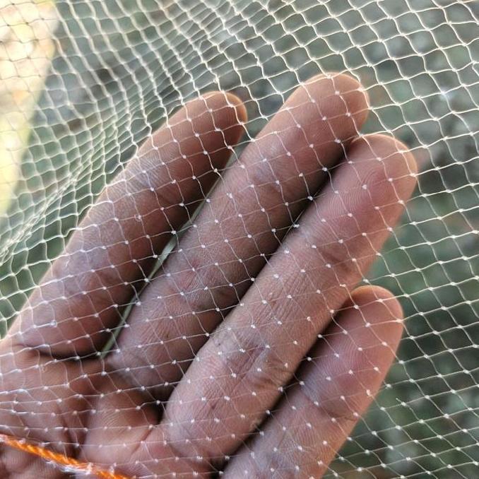 Jaring anco lunjar & udang Alat penangkap ikan kecil Pancing