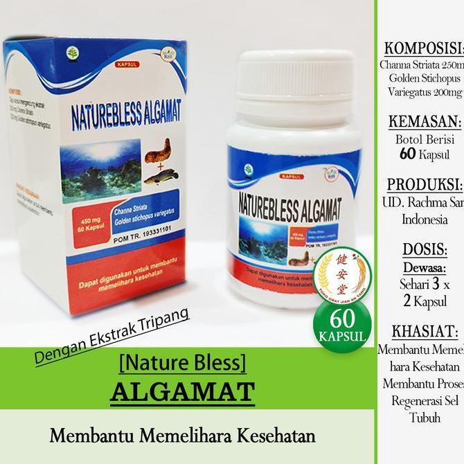 favorit] [Nature Bless] NATUREBLESS ALGAMAT - Ekstrak Ikan Gabus-Ikan Kutuk [dengan Teripang][60 Kap