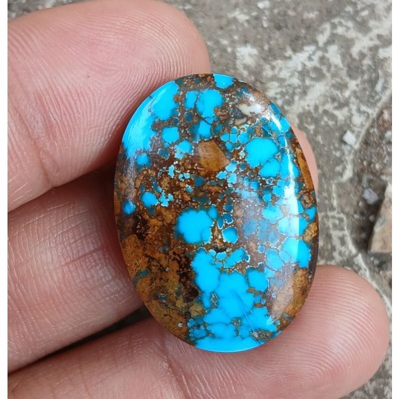 pirus persi