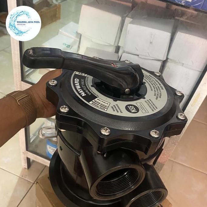 HEAD FILTER MPV HAYWARD 2" USA BARU
