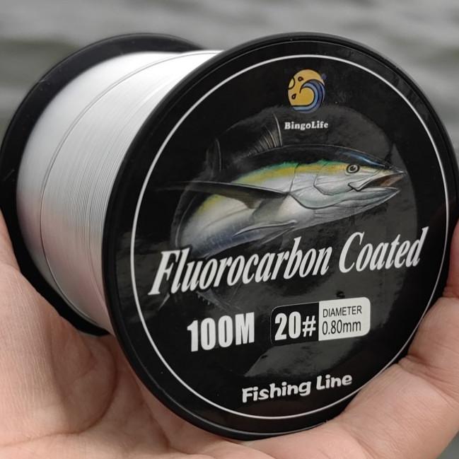Bingolife Senar Fluorocarbon Monster Fish 100m Ukuran 12#-40# Jernih Sinking Cepat Target Ikan Raksa