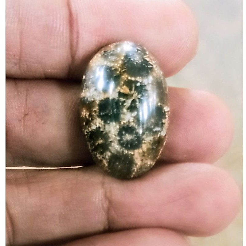 Natural Coral Teratai Laut