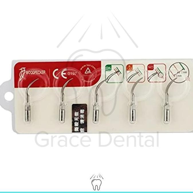 Scaler Tip Woodpecker Original Ultrasonic Scaller