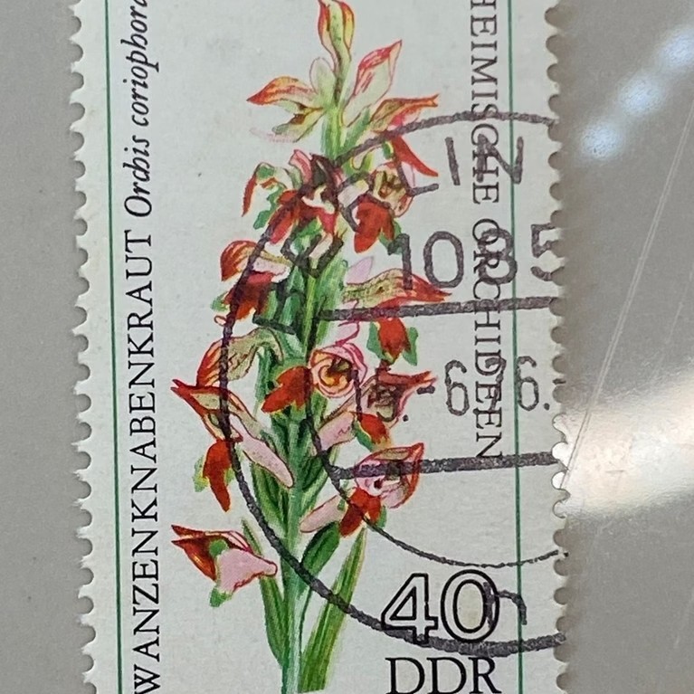 Set Perangko Kuno Jerman Timur DDR - Seri Botani Bunga Anggrek Liar / Vintage Stamp (Set 5 Pcs)