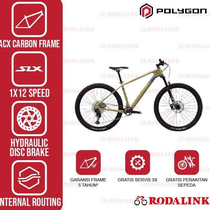 Promo Polygon Sepeda Gunung Mtb Carbon Syncline C5