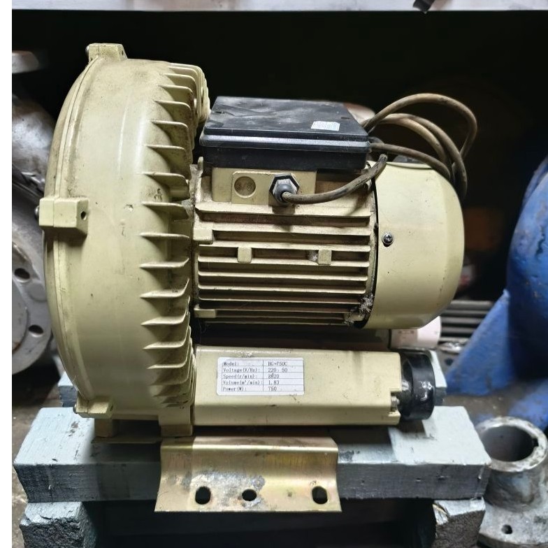 ring blower 1 phase 1 hp 750 wat 0.75 kw