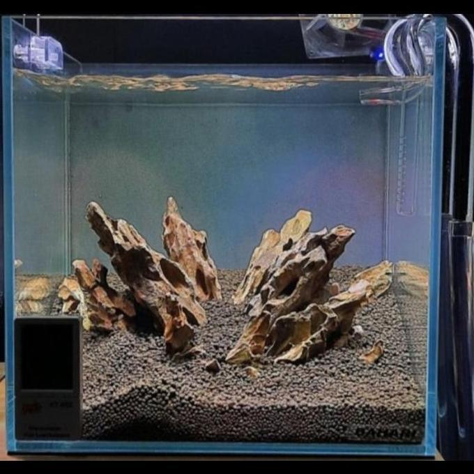 Hobiikan- Mini Glass Lily Pipe Mini Lily Pipe Aquarium Aquascape Bukan Skimmer Stainless