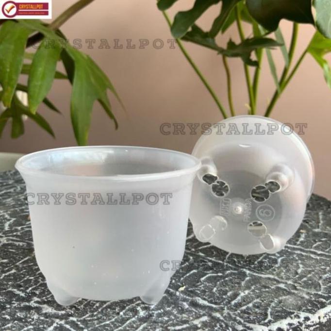 HEYYOUS pot bunga tanaman mini nkt panda 06 bening transparan 6cm - nkt mini