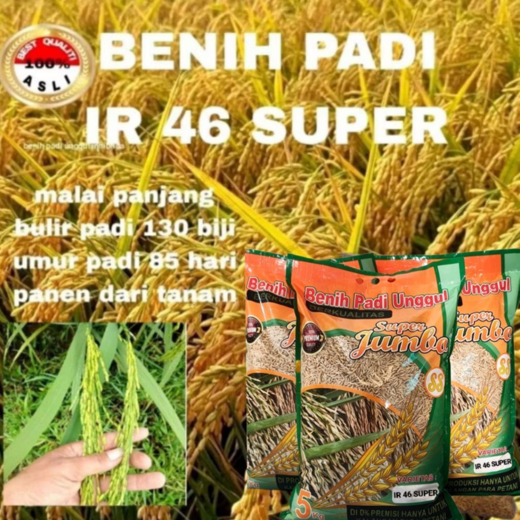 Benih padi IR 46 super premium kemasan 5kg