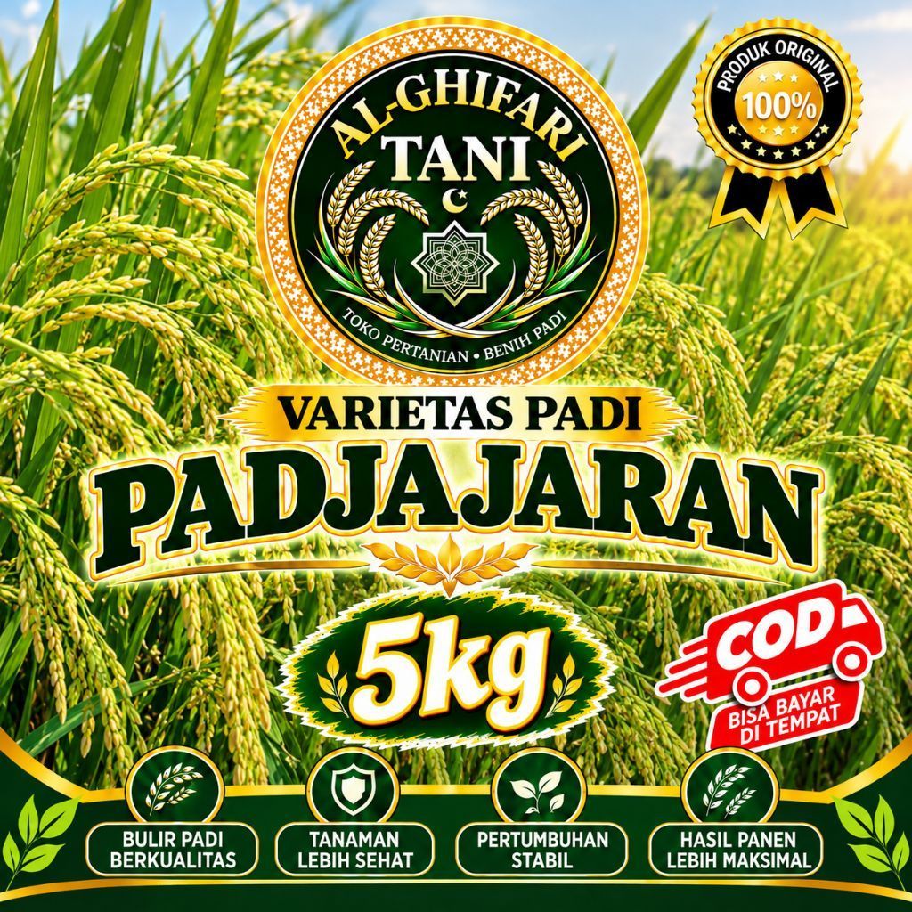 Varietas benih padi PADJAJARAN kmsn 5kg, benih padi berkualitas