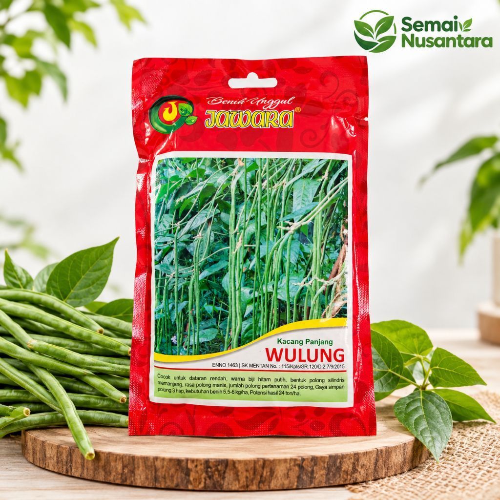 Benih Kacang Panjang WULUNG | Benih Kacang Panjang Manis | Benih Kacang Panjang Unggul | Benih Kacan