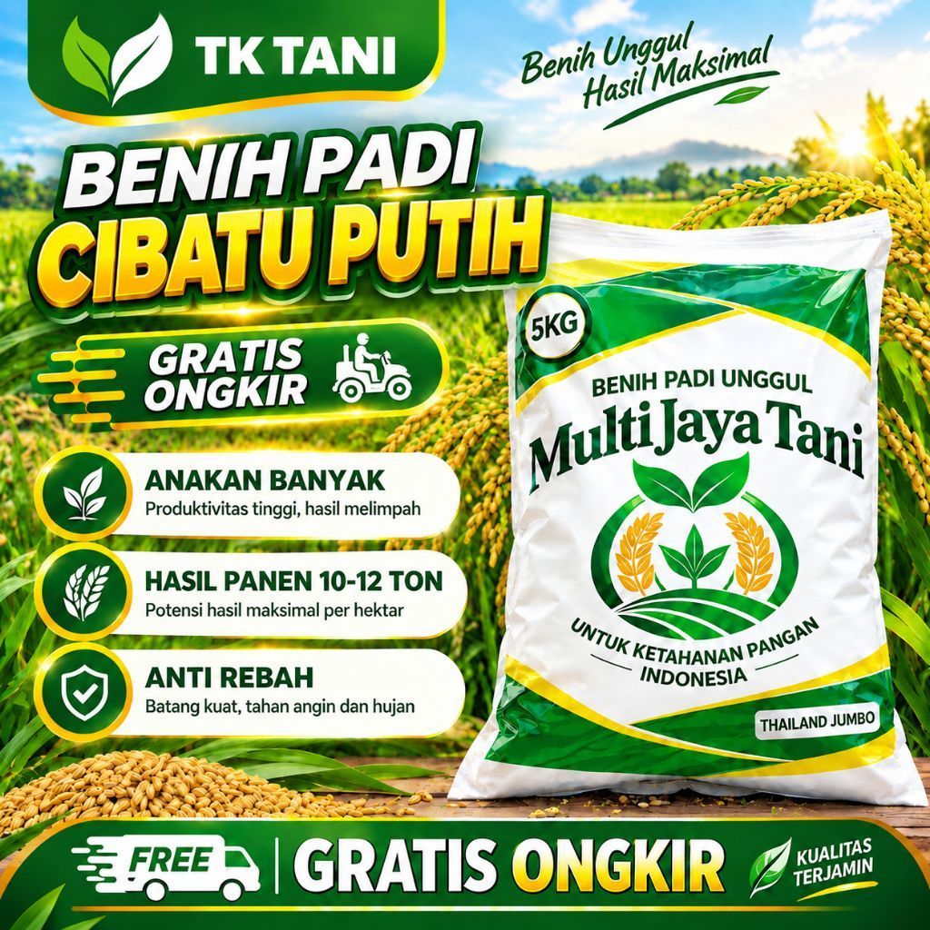 BENIH PADI UNGGUL BERKUALITAS CIBATU PUTIH 100% ORIGINAL