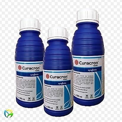 NS Insektisida Curacron 500EC 500 ml TERBAIK