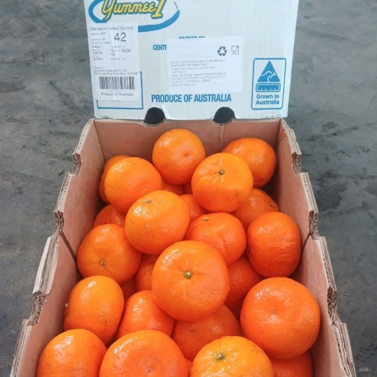 Jeruk Mandarin Honey Murcott 42 Produced of Australia buah jeruk manis