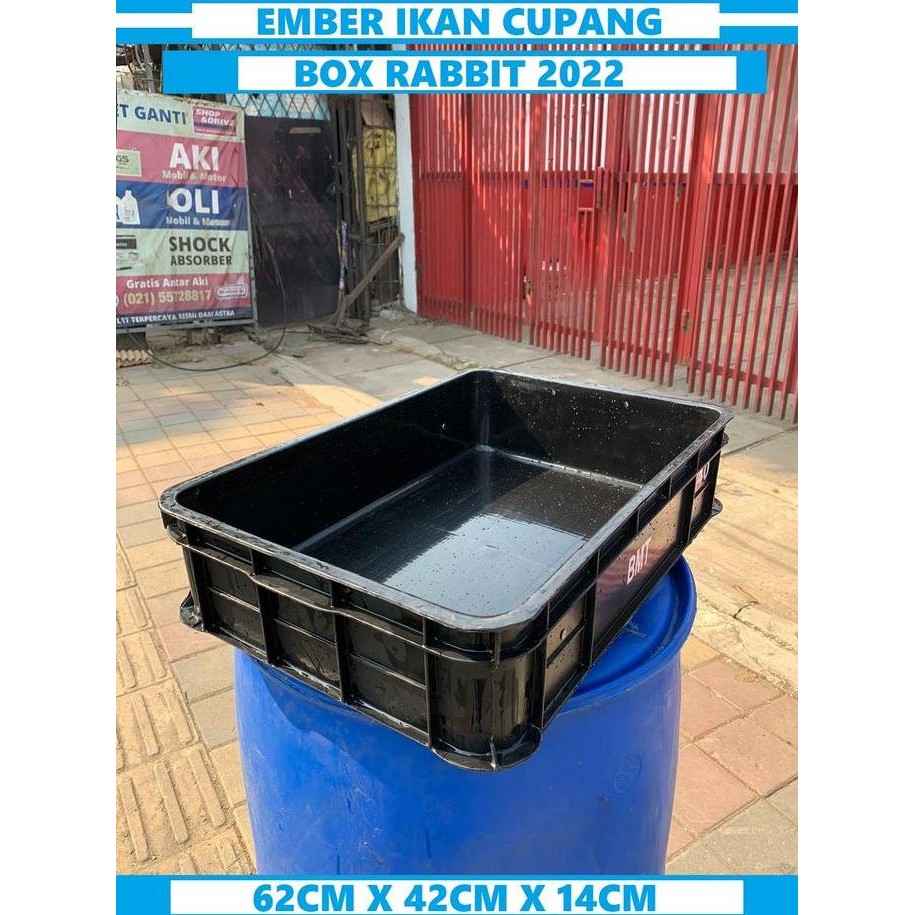 PROMO - Box rapat container plastik 2022/Bak container plastik bekas 2022