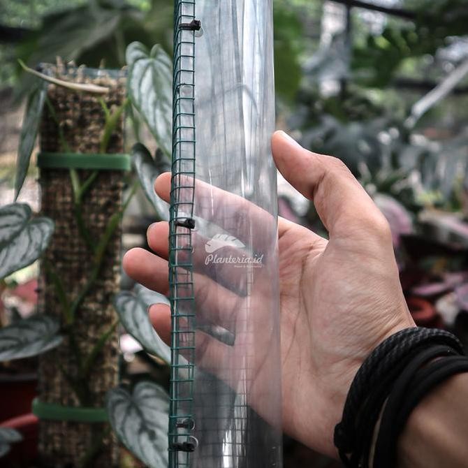 Turus Tanaman Turus Mika 40 Cm Allshop