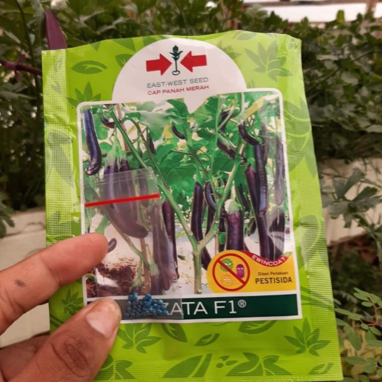 Benih Bibit Terong Ungu Cap Panah Merah Kemasan Repack