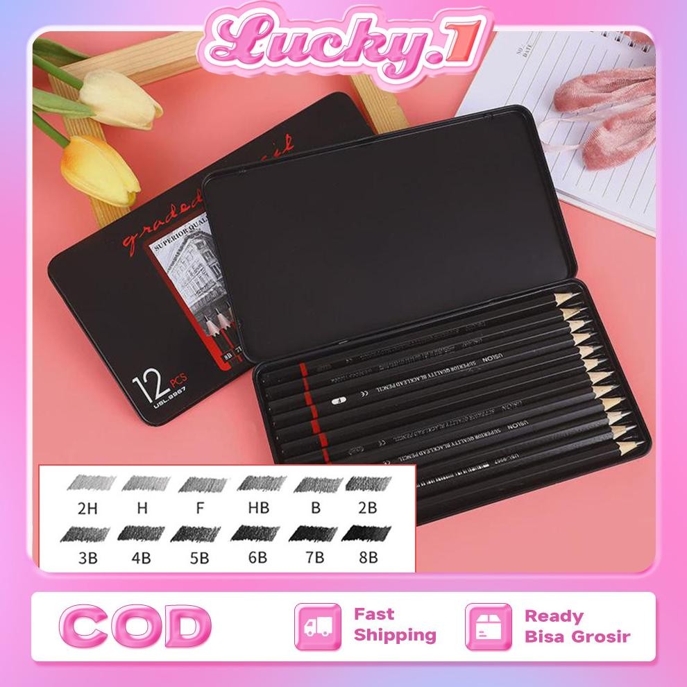 

Pensil Gambar Lengkap 12Pcs Set Lengkap 2H H F B HB 2B 3B 4B 5B 6B 7B 8B Charcoal Set Pencil Set Dengan Kotak