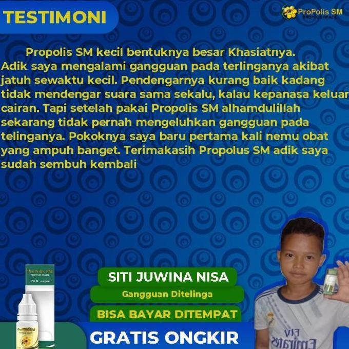 Obat Herbal Tetes Telinga Berdengung Congek Bernanah - PROPOLIS SM ORI